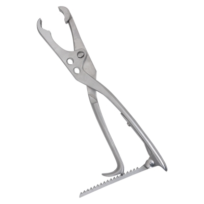 Bone Holding Forceps (Lambotte)